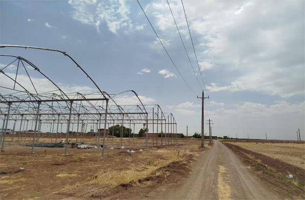  نمونه گلخانه در حال ساخت